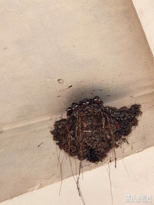 【 尋找靈感】玩啥