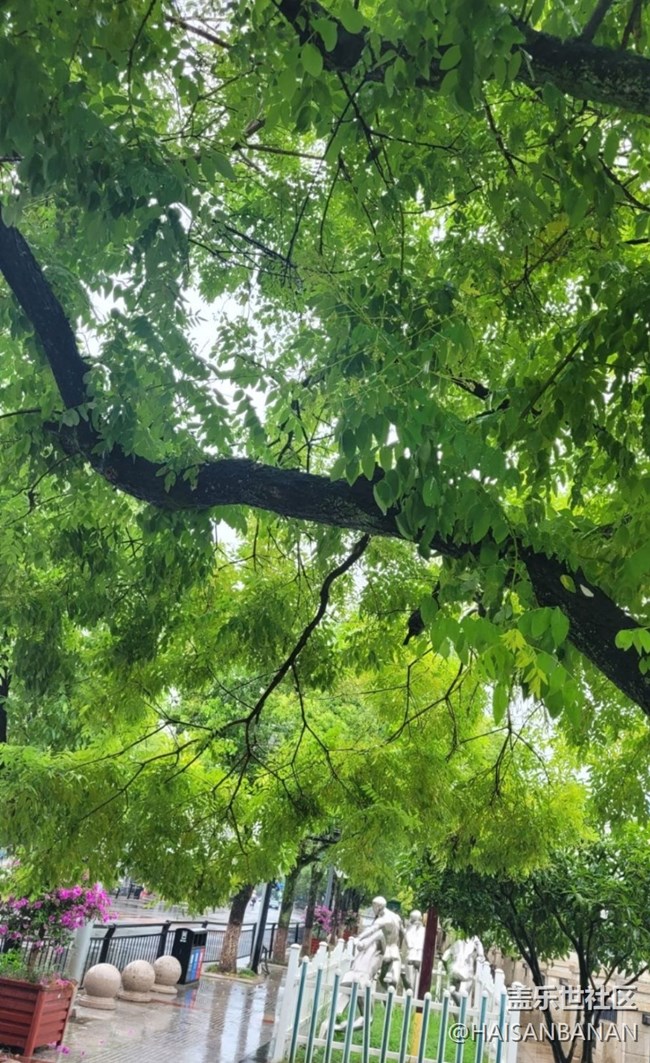 【雨過天晴】陰雨綿綿