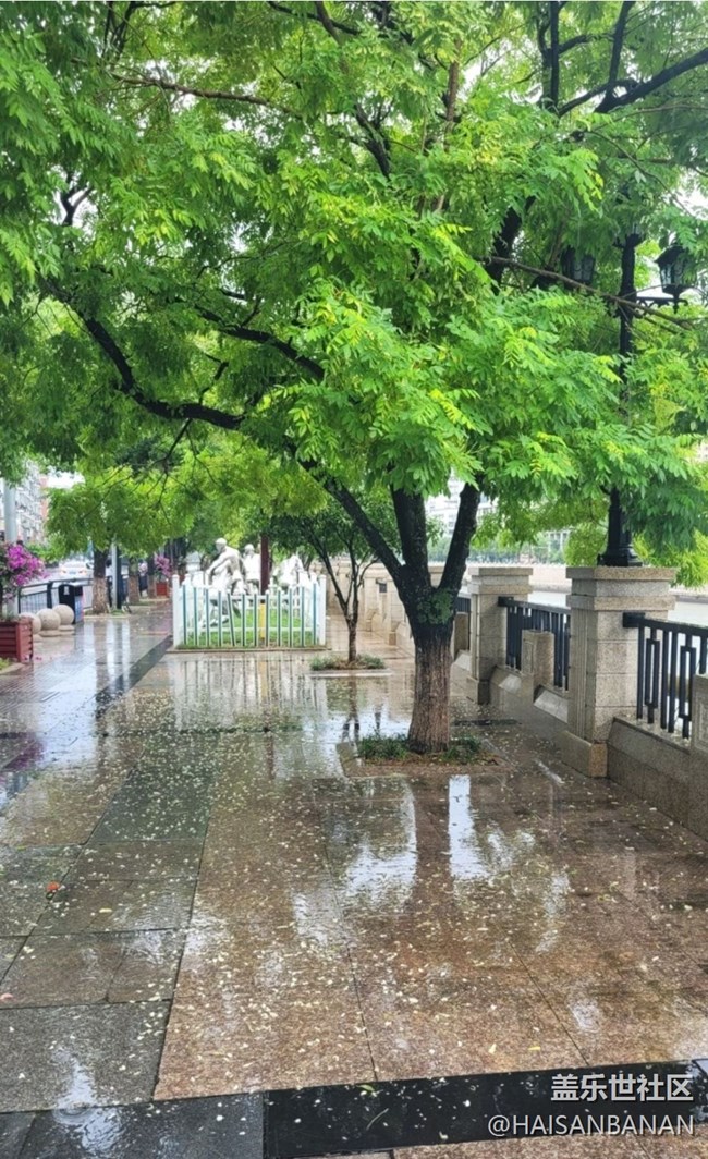 【雨過天晴】陰雨綿綿