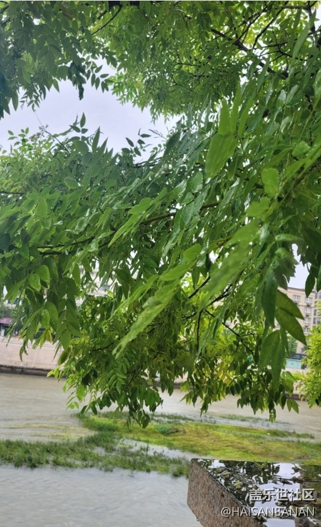 【雨過天晴】陰雨綿綿