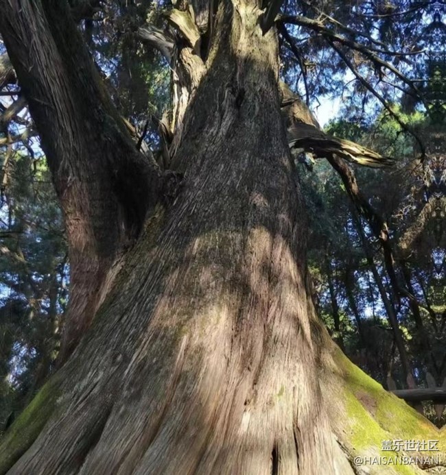 【光影之約】劍門關(guān)