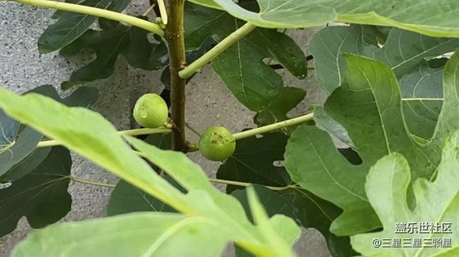 【光影之約】周末回家