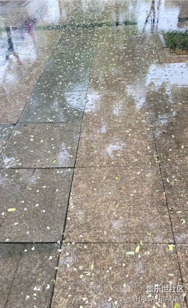 【雨過天晴】陰雨綿綿