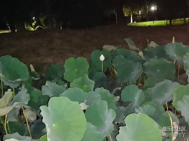 【光影之約】休息天