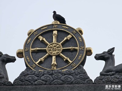 【?尋找靈感】是自由噠