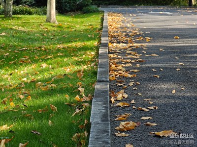 【尋找靈感】留意身邊的精彩