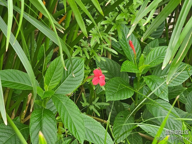 【High動(dòng)夏天】運(yùn)動(dòng)之余