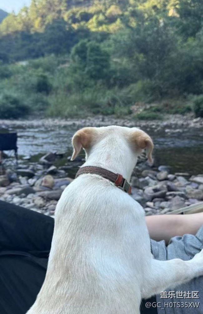 【光影之約】河邊露營