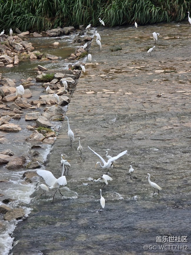 【雨過(guò)天晴】臺(tái)風(fēng)過(guò)境