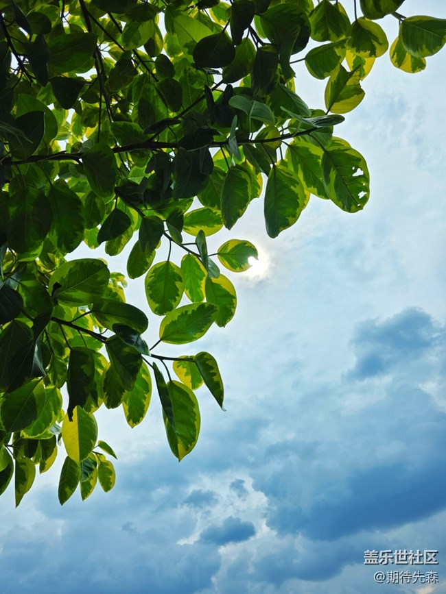 【雨過天晴】雨后彩虹