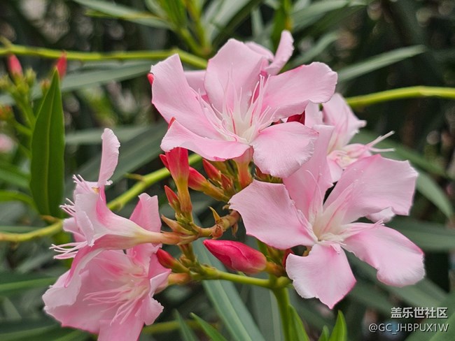 【High動(dòng)夏天】運(yùn)動(dòng)之余