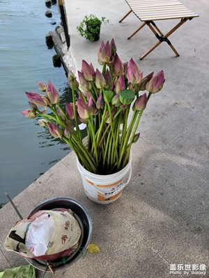 【 尋找靈感】逛逛