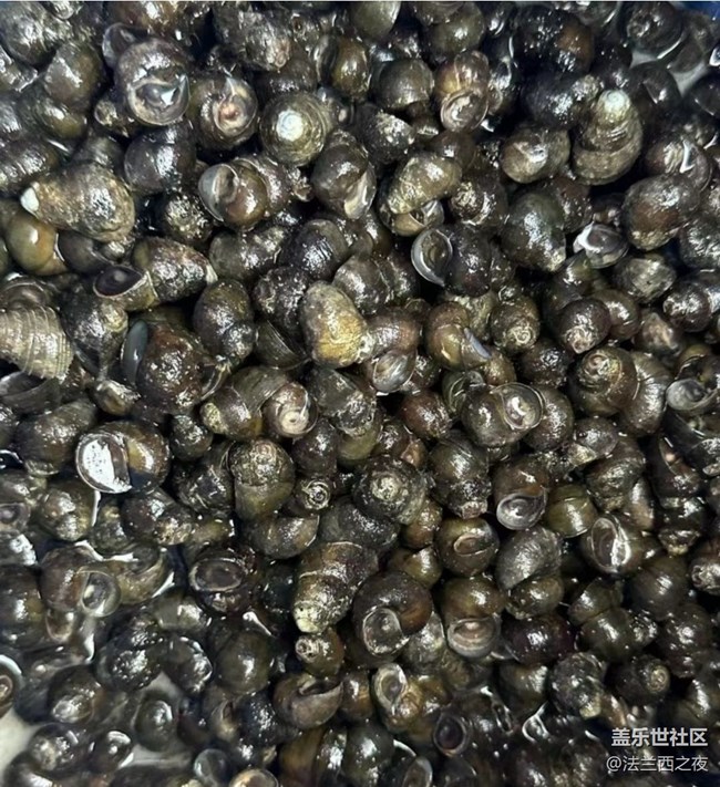 【光影之約】下河摸螺