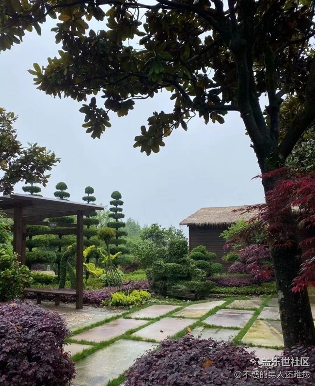 【光影之約】雨天