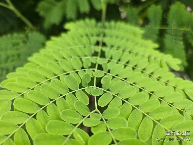 【High動(dòng)夏天】運(yùn)動(dòng)之余