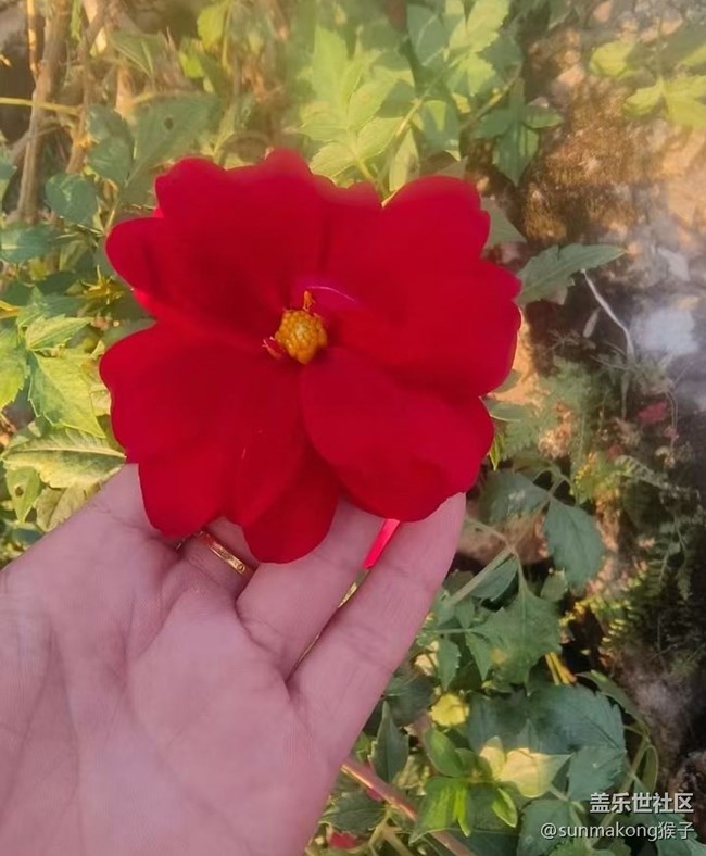 【光影之約】夕陽西下