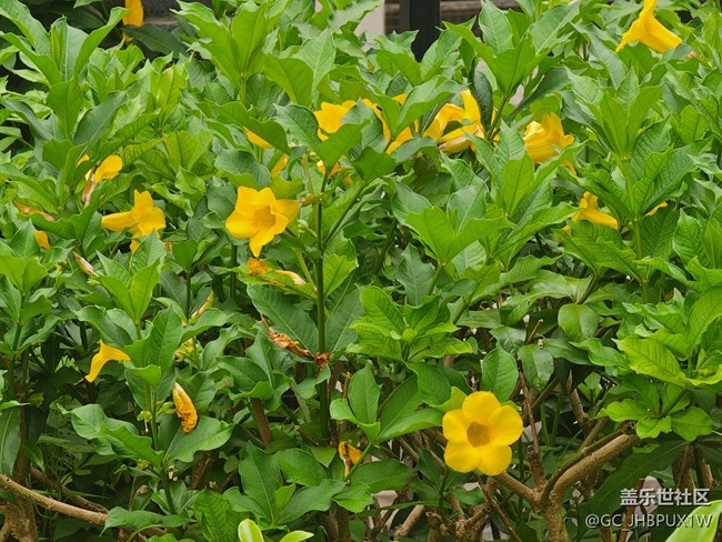 【High動(dòng)夏天】運(yùn)動(dòng)之余