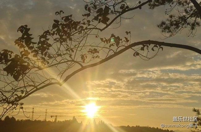 【光影之約】夕陽西下