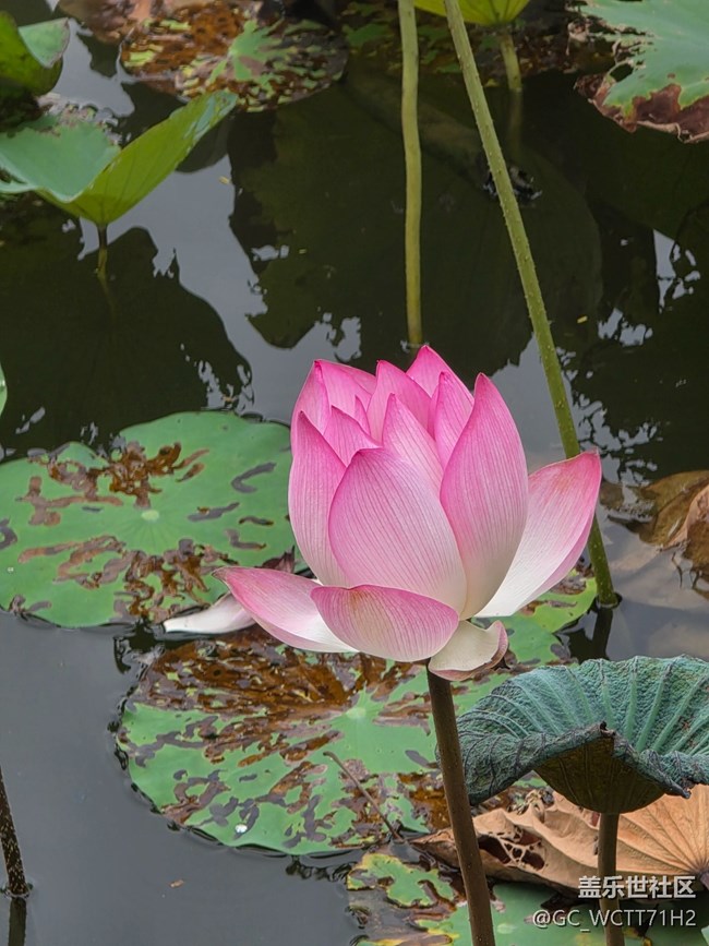 【雨過(guò)天晴】臺(tái)風(fēng)過(guò)境