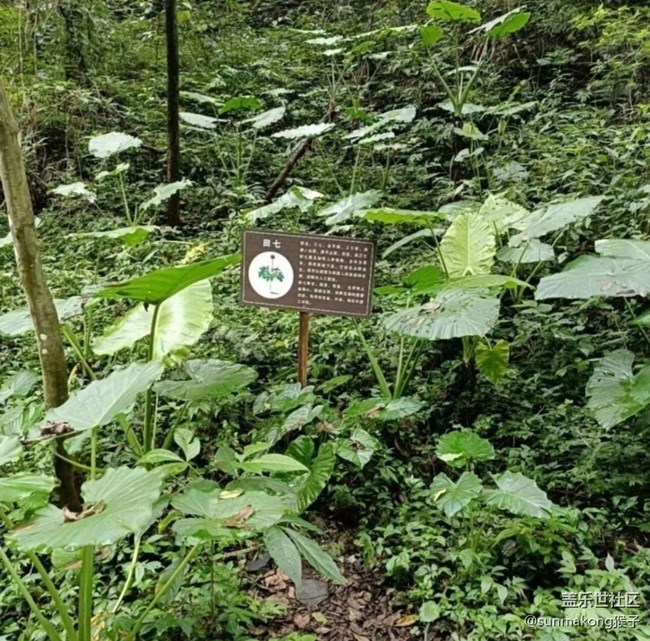 【雨過天晴】山山水水