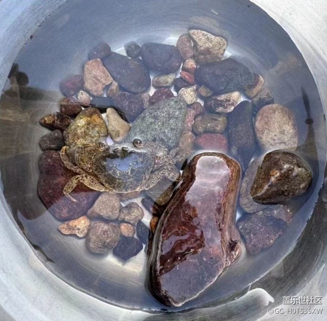 【光影之約】河邊露營