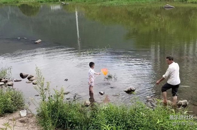 【光影之約】下河撈魚