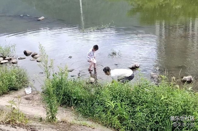 【光影之約】下河撈魚