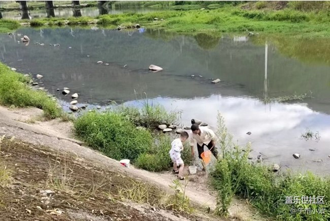 【光影之約】下河撈魚