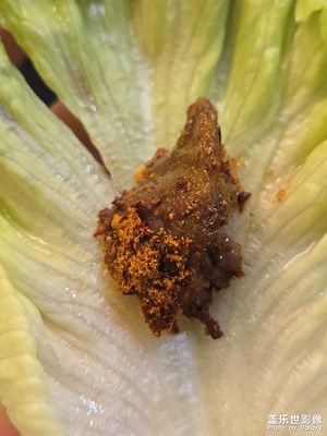 【?尋找靈感】+?美食