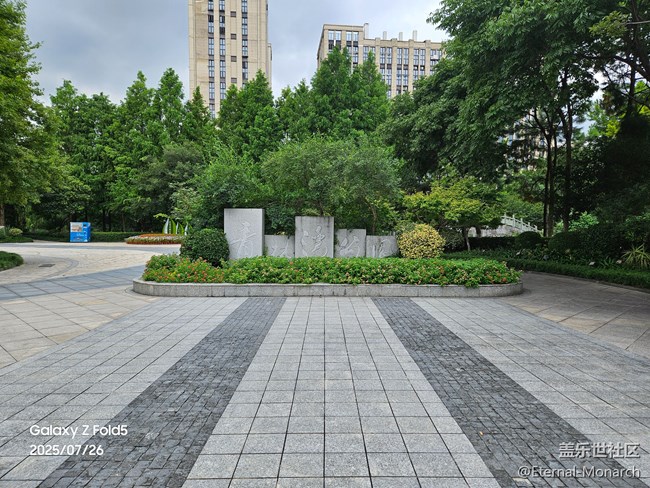 【夏日奇趣】青林灣公園