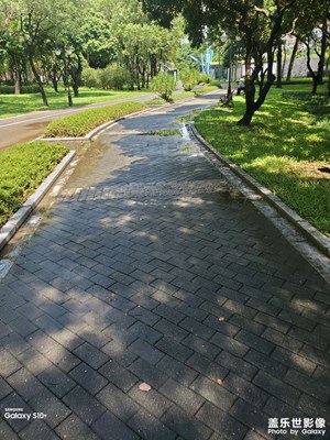 【?尋找靈感】雨后公園