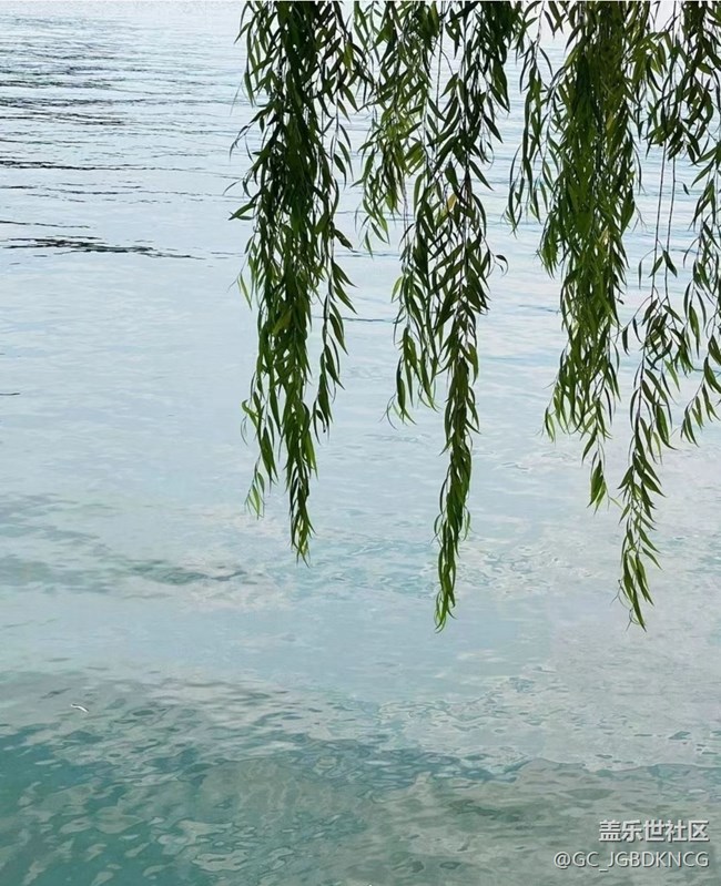 【光影之約】游西湖