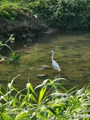 【尋找靈感】長(zhǎng)焦攝影