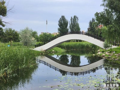 【 尋找靈感】漫步濕地公園
