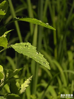 【 尋找靈感】+ 雨夜隨拍