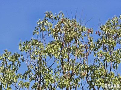 【?尋找靈感】+?生活樂趣