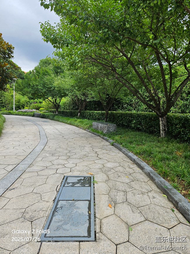 【夏日奇趣】青林灣公園