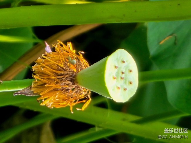 夏日通勤路上隨拍