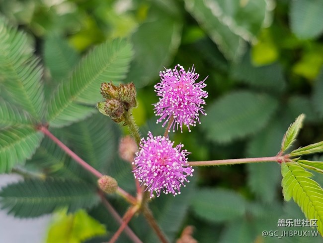 【光影之約】七月匆匆