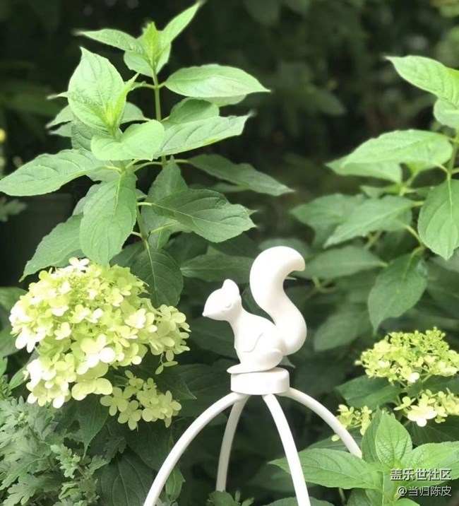 【光影之約】夏日花園