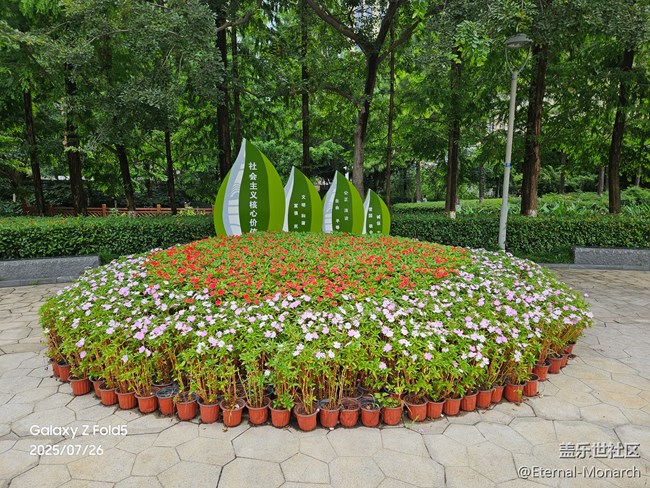 【夏日奇趣】青林灣公園