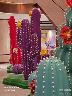 【尋找靈感】彩色仙人掌