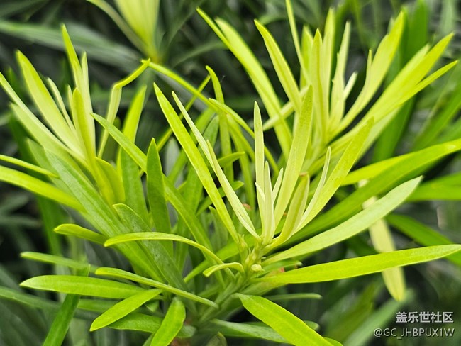 【光影之約】七月匆匆