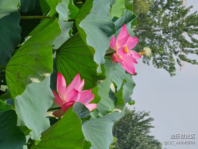 夏日通勤路上隨拍