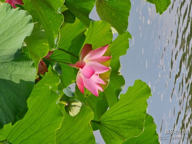 夏日通勤路上隨拍