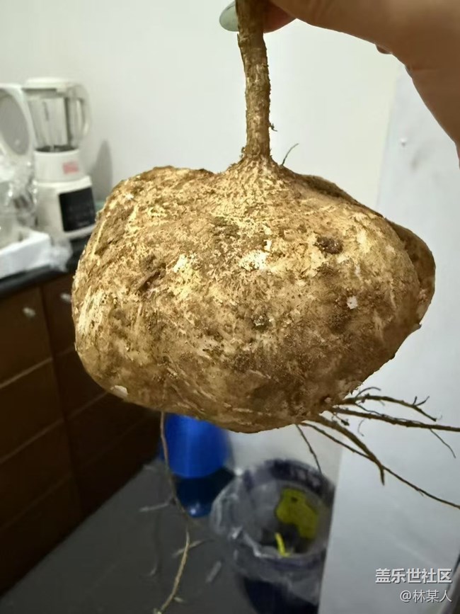 【鮮萃暑味】簡餐