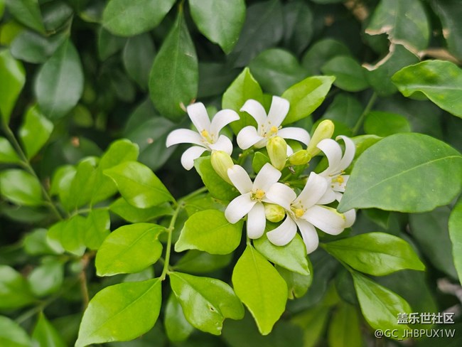 【光影之約】七月匆匆