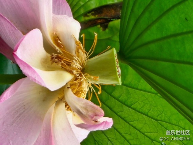 夏日通勤路上隨拍