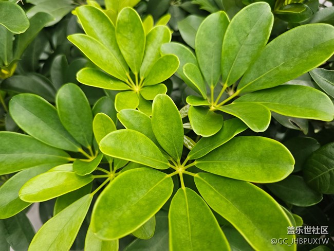 【光影之約】七月匆匆