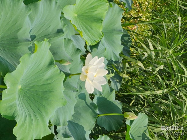 夏日通勤路上隨拍